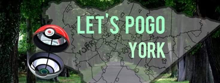 Lets Pogo York